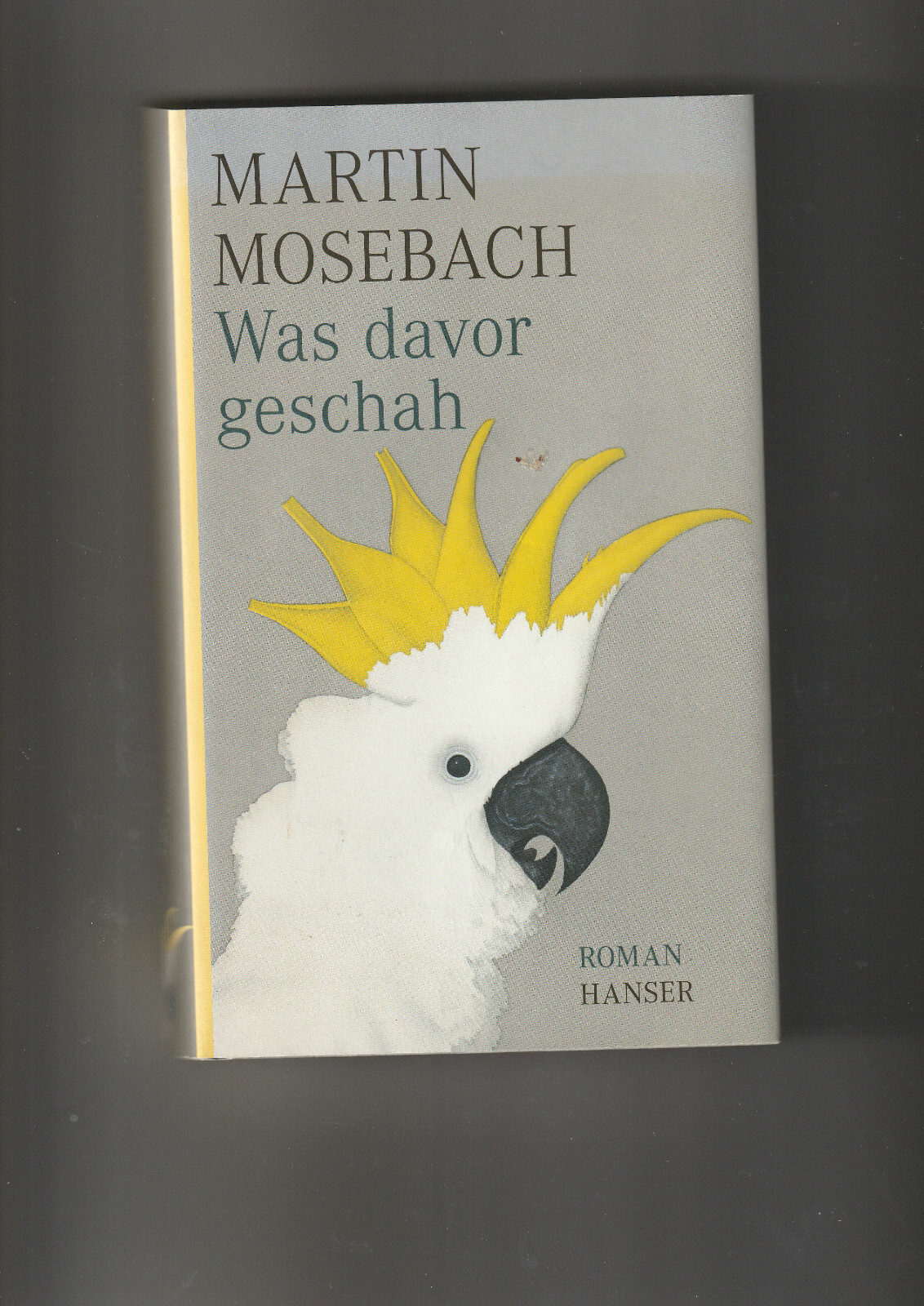 Was davor geschah, Roman von  Martin Mosebach, gebundene Ausgabe, sehr guter Zus