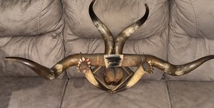 Hand made Western Bull / Steer horn Hat rack 1900's
