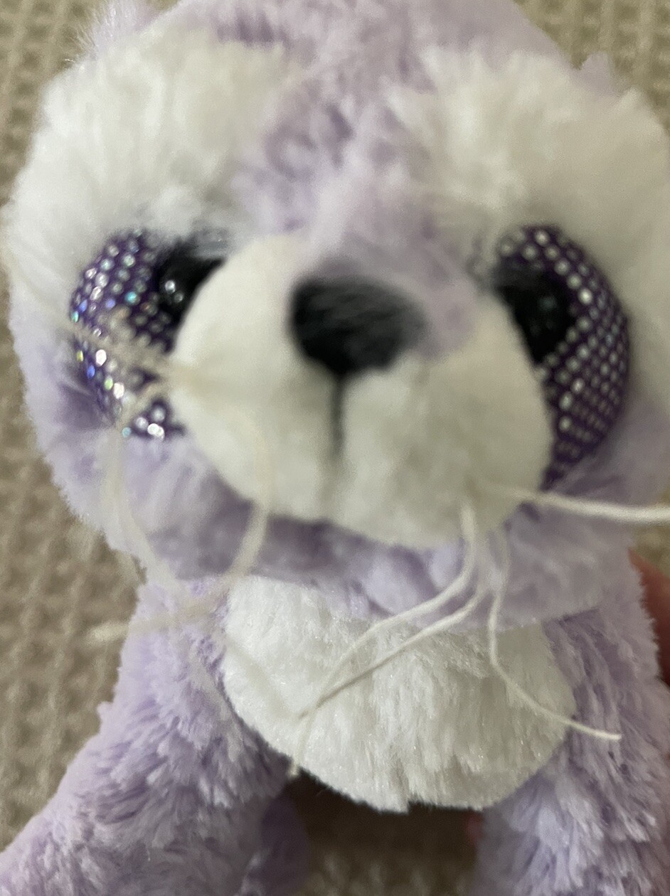 Picture 6 of 12