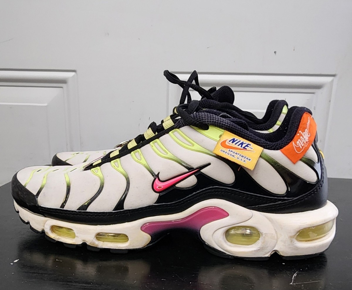 have a nike day air max plus