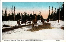 Vintage Postcard Deer GUN FLINT TRAIL Minnesota Arrowhead Country JX1