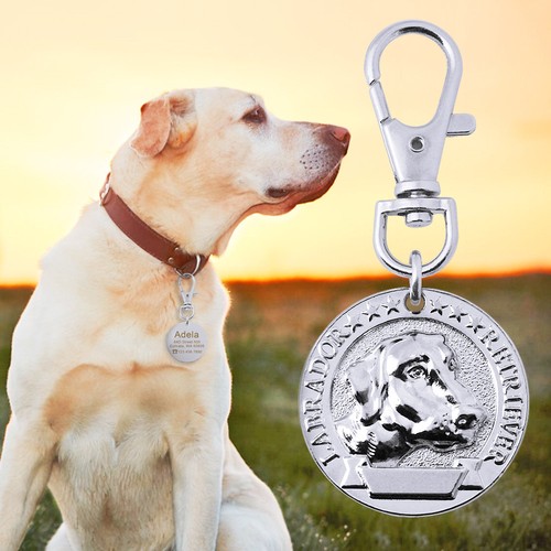 Personalized Pet Tags Dog Cat ID Collar Tag with Dogs Images Free Engraved - Picture 9 of 17