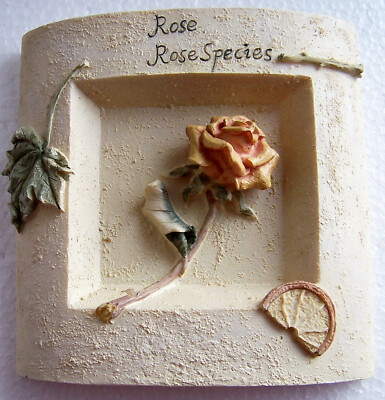 Bilderrahmen formano '' Rose '' Struckturoptik Polyamid beige 14,5 x 14,5 x 2,5 cm
