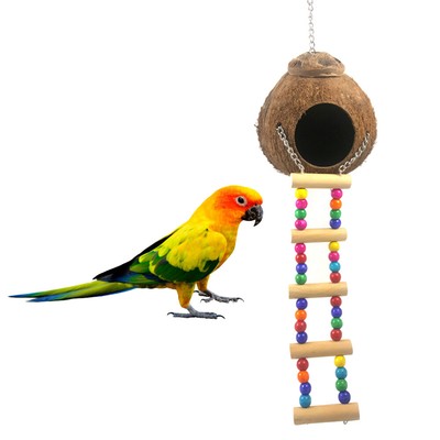 creative bird toys