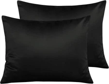 NTBAY Zippered Satin Pillow Cases for Hair and Skin, Luxury Standard Hidden Zipp