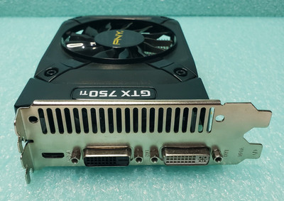 PNY NVIDIA GeForce GTX 750 Ti (VCGGTX750T2XPB) GDDR5 SDRAM Graphic