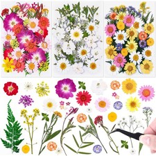 120 PCS Dried Flowers for Resin Molds, Natural Pressed Flowers Leaves Herbs k...