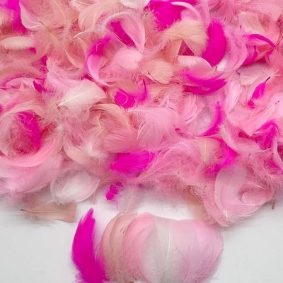 500PCS Small Craft Feathers Pink White Assorted Colors Bulk Small, Mixed 