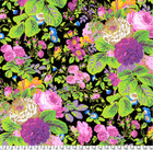 <!--F#f_0-->Kaffe Fassett Gradi Flora Contrast<!--F/-->