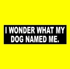 Funny "I WONDER WHAT MY DOG NAMED ME" pet parent decal BUMPER STICKER dog lover
