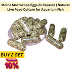 2x Caps Moina Macrocopa Eggs Water Flea Live Food Betta Guppy Fish Food
