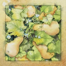 Ceramic Backsplash Tile Mural Fruit Vegetable Food Kitchen/Bathroom - Squash