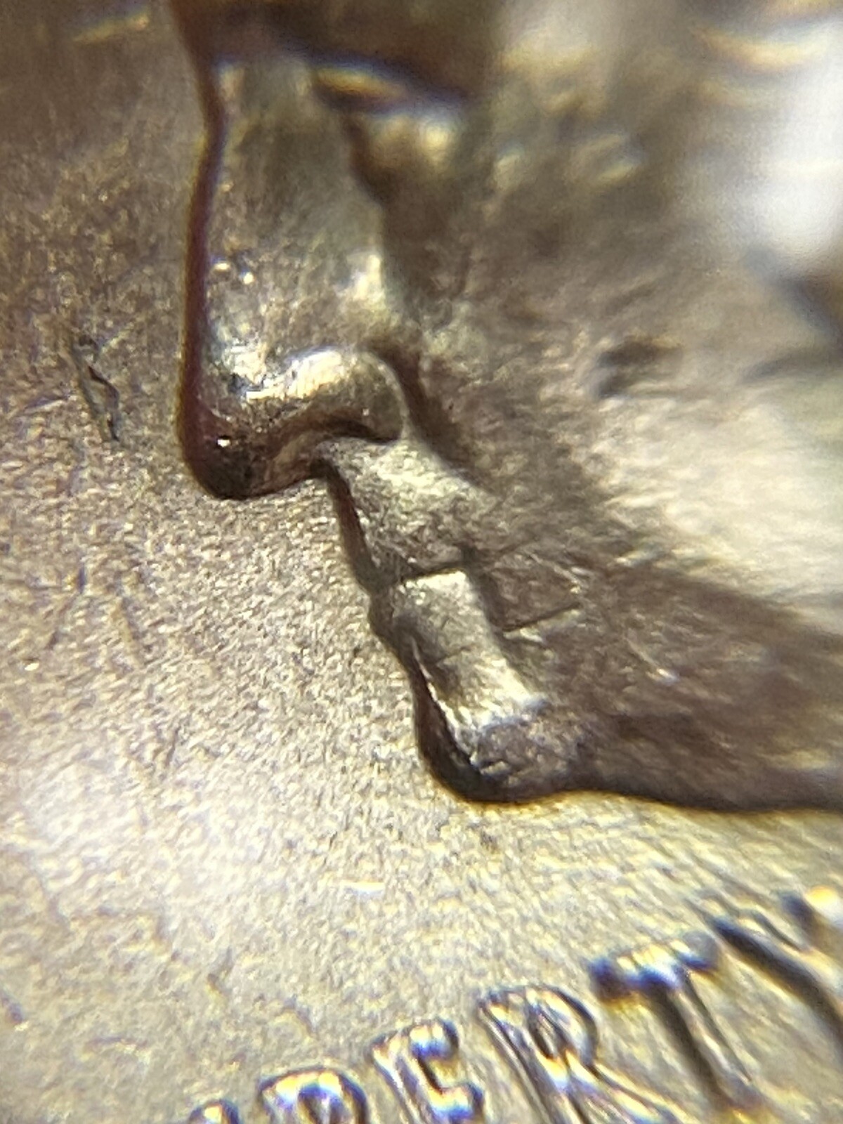 Picture 3 of 19