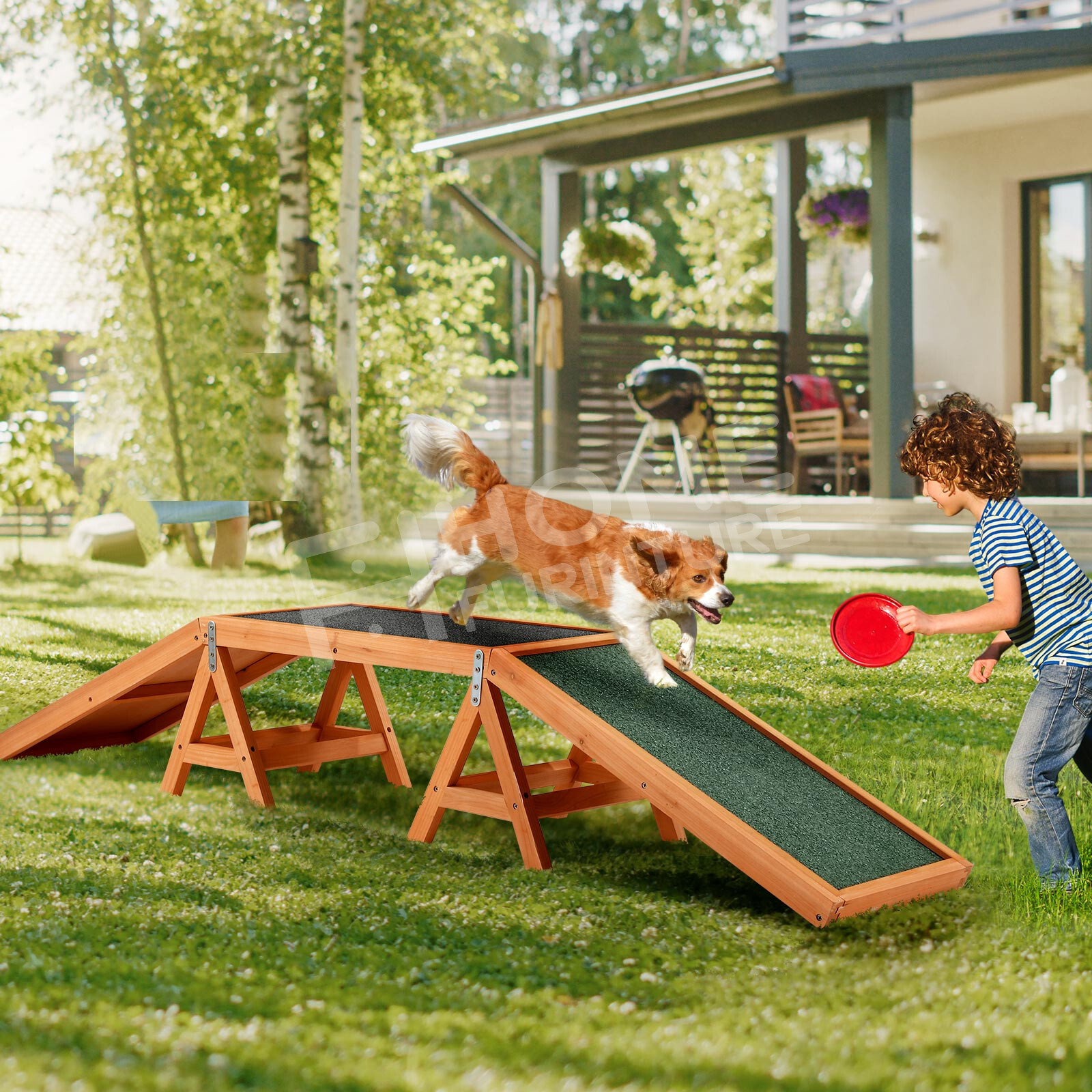Dog Agility Ramp Toy Pet Training Obedience Equipment Obstacle Course