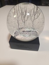 Cool Snow Globe Winter Theme