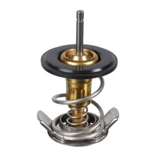 Thermostat Land Rover FREELANDER