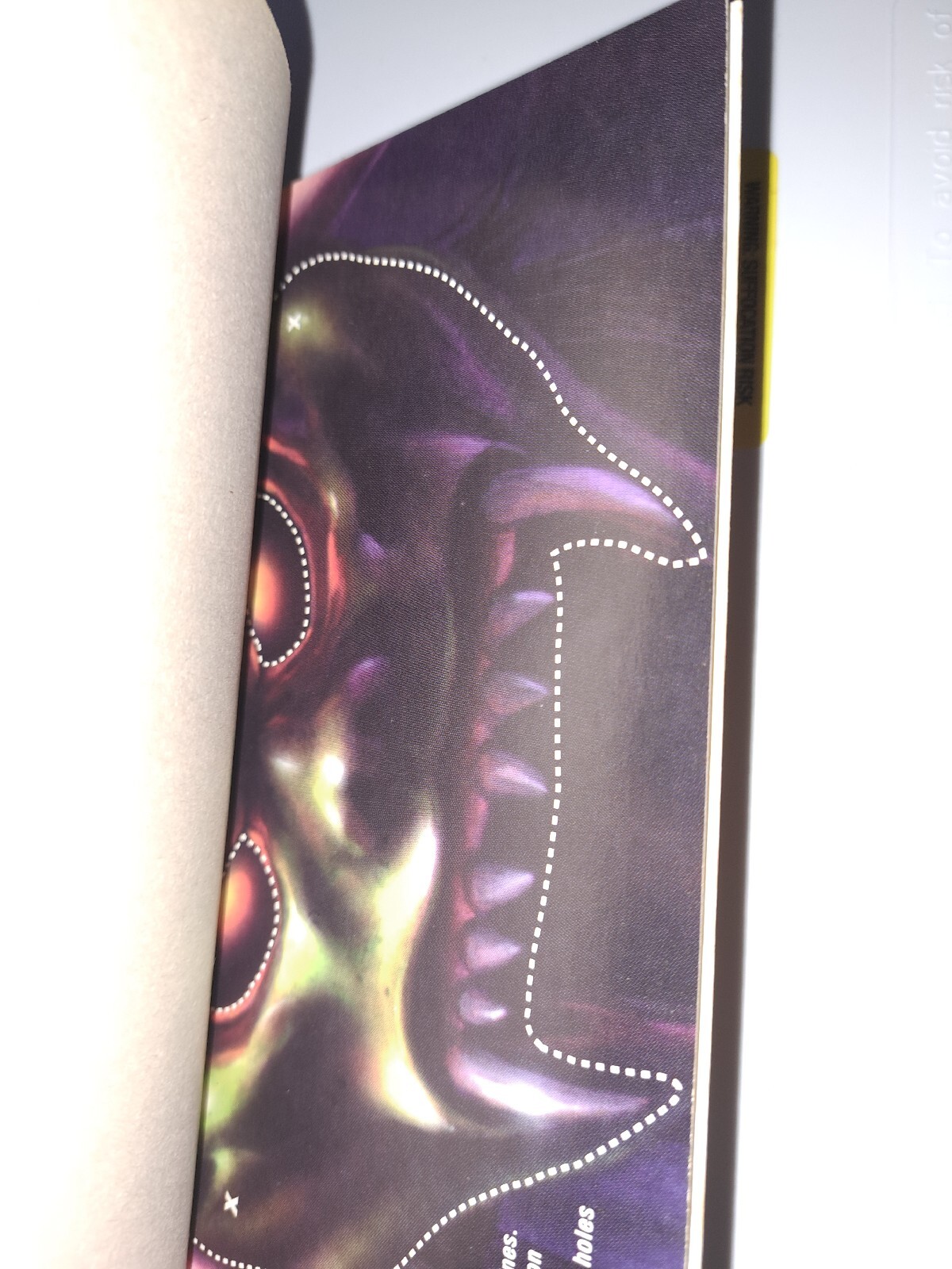 Picture 3 of 11