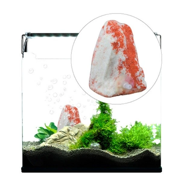 Natural/Genuine Aquarium Ornaments