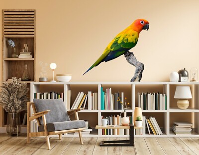 3D Farbe Papagei C023 Tier Wallpaper Wandbild Poster Wandaufkleber Abziehbild