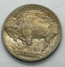Mound Type • United States Buffalo Nickel • 1913 • Gem UNC