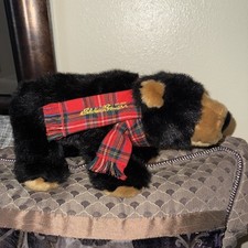 Steiff Teddy Bear 2009 Eddie Bauer Original Tags Attached Button Ear Black Bear