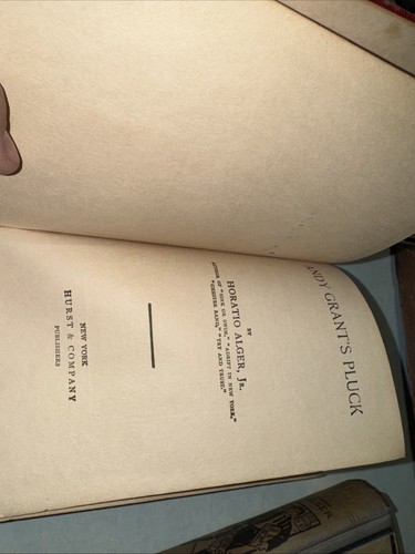 HORATIO ALGER, JR. LOT OF 3 HURST & CO. Early 1900s Hardcover - Picture 5 of 12