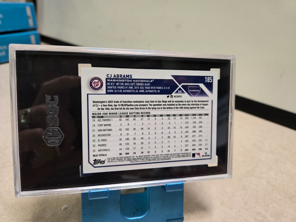 パープル・ジェム Inhalation delivery of dexamethasone with iSEND