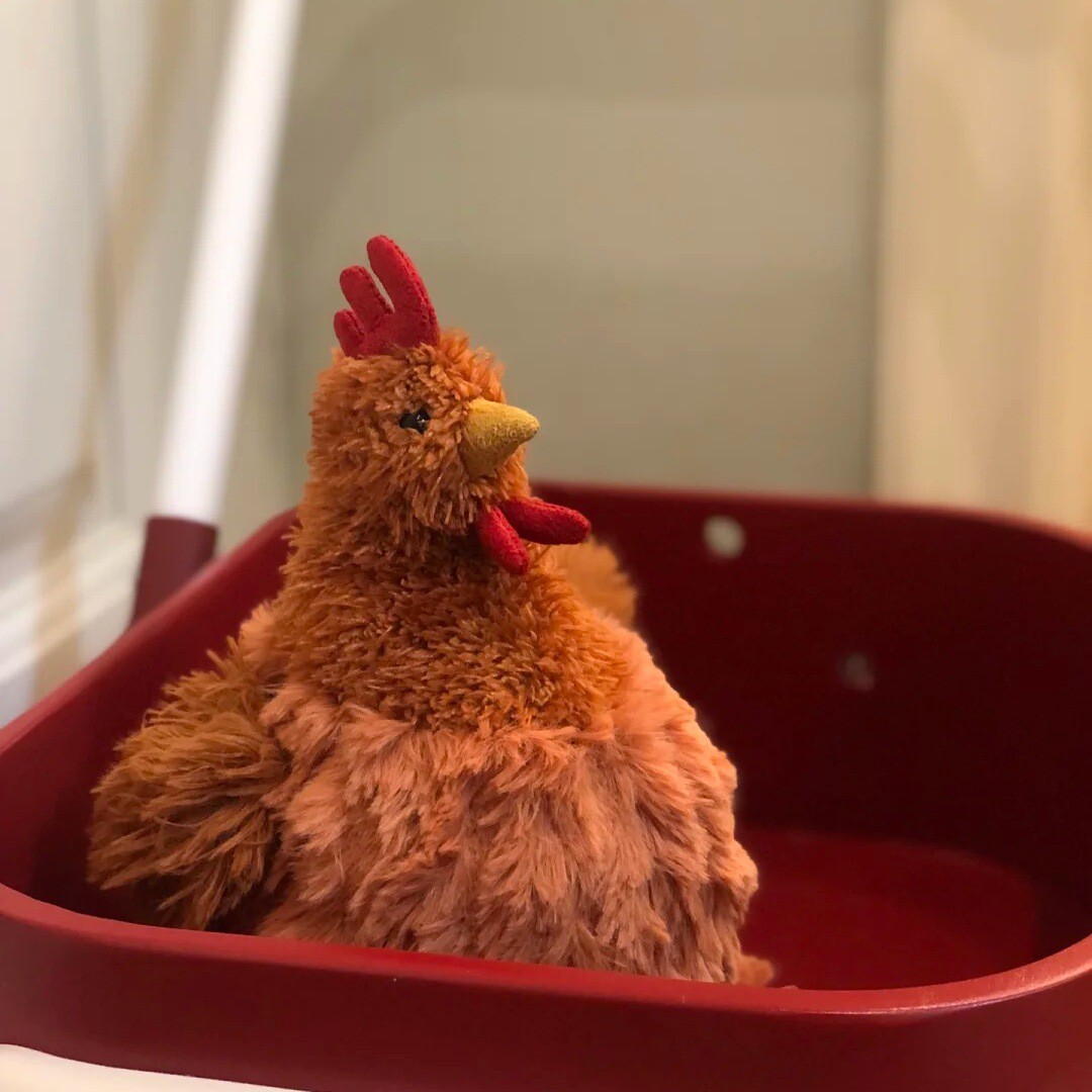 Jellycat CECILE CHICKEN Soft Plush Stuffed Chicken Toy