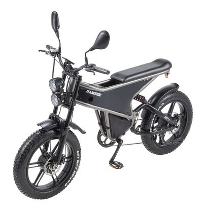 Randride DM711 Electric Mountain Bike Dual Motor 20'' 20Ah 4.0 Fat Tire 7 Speed