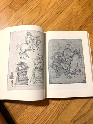 The Notebooks of Leonardo da Vinci Vol. I Hardcover Illustrated English