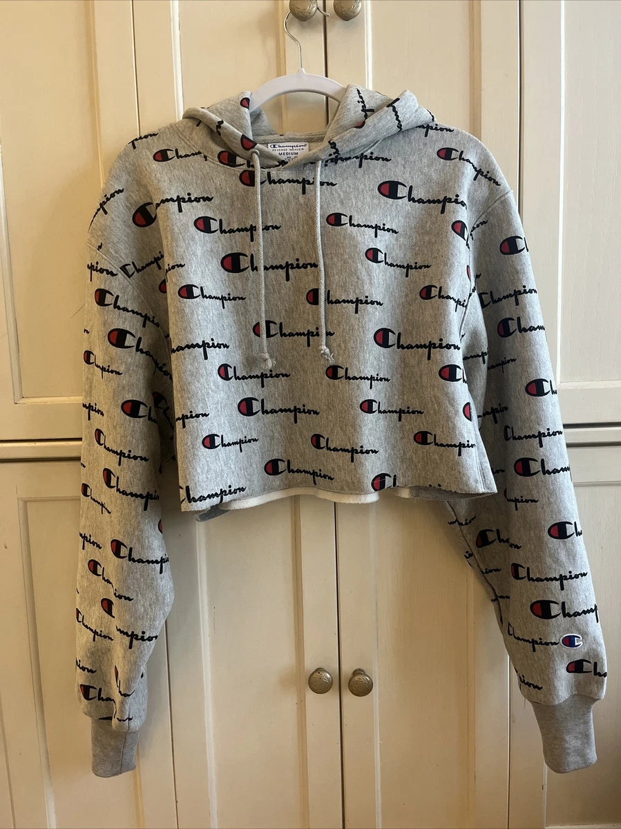 Champion logo hotsell sleeve crop hoodie