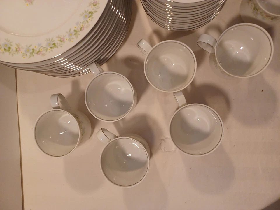 Johann Haviland Bavaria Forever Spring Juego de 60 Piezas Servicio para 12 Verde Foto 2 de 4