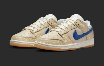 Nike Dunk Low Retro DZ4853-200 Mens Size 11 Montreal Bagel !!!Ready To Ship!! 