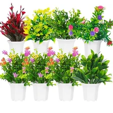 Dekorly Plastic Wild Artificial Flower Plants With Cute Hexa Pot Pack Of 8