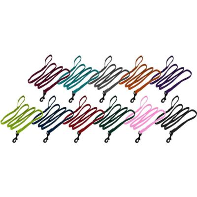 Flat Nylon Leash Lead Pet Dog Puppy 4 ft / 6 ft / 11 colors