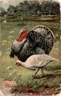 UNITED STATES, Thanksgiving, 1907, York, Little Guy Bashers, 249 Walnut Postcard