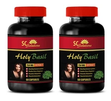 cholesterol blocker - HOLY BASIL - holy basil bulk supplements - 2 Bottles