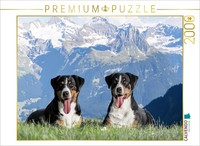 Calvendo Puzzle Appenzeller Bitches In The Swiss Homeland | 2000 Pieces, Finishe