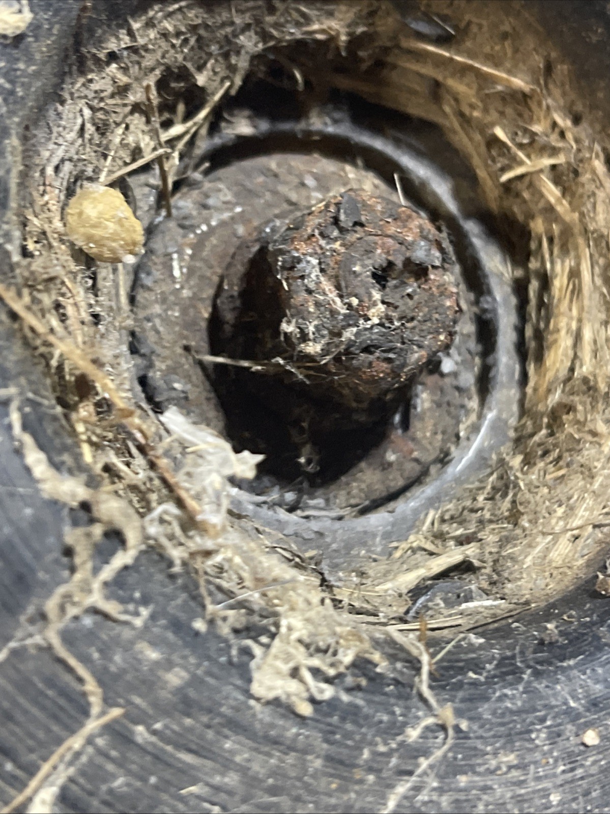 STIHL OEM   FS86 and More  Gear Head Assembly With Polycut Attached Metal Guard