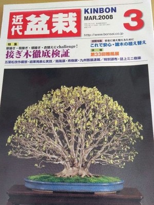 Bonsai Book Modern Bonsai March 2008 Grafting Techniques Special Edition