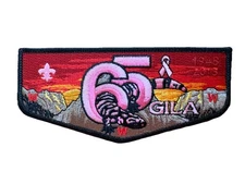 Boy Scout OA 378 Gila 65th Anniversary Breast Cancer Awareness Flap