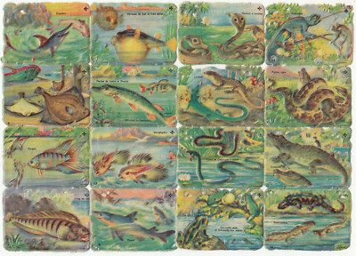 Oblaten Glanzbild scrap die cut chromo / Oblatenbogen Nr. 1452  Fische Reptilien