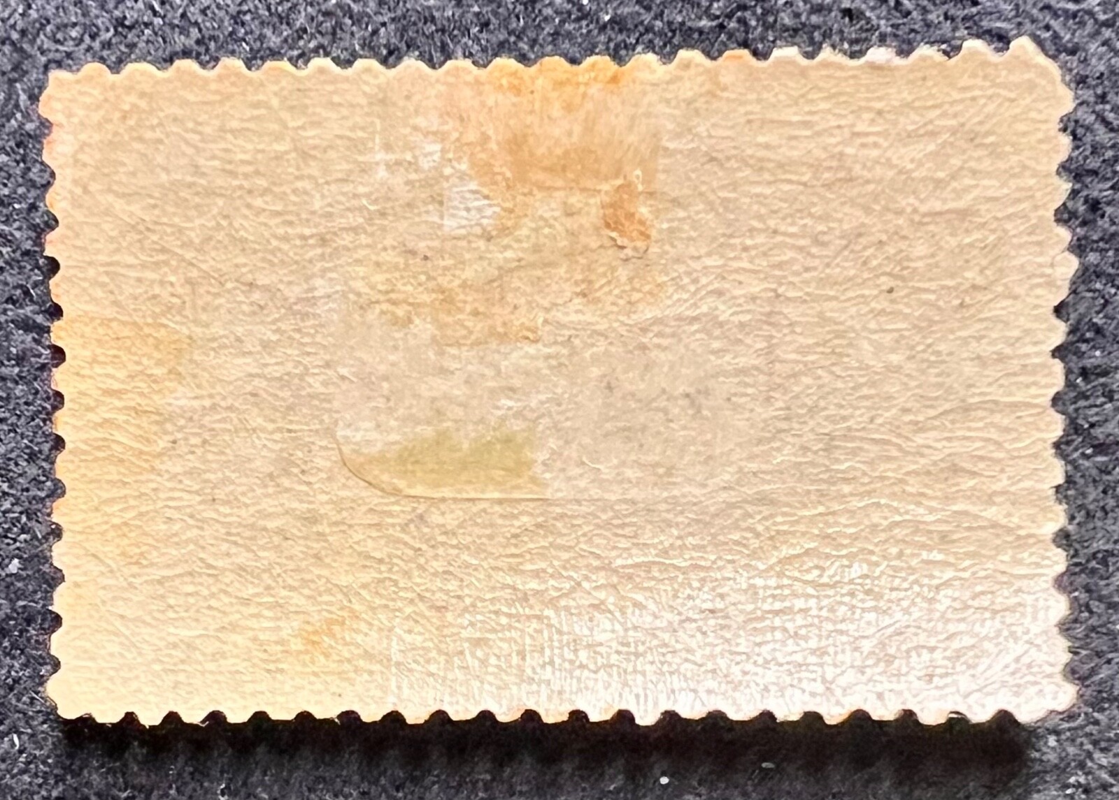 Foto 2 di 2