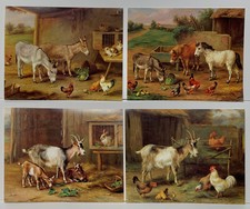 Set of 4 farm animal reproduction prints by Edgar Hunt