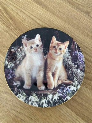 Royal Worcester Kitten Portrait Sammler Teller 19 cm ''Let's Hide''