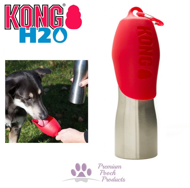 kong dog water bottle