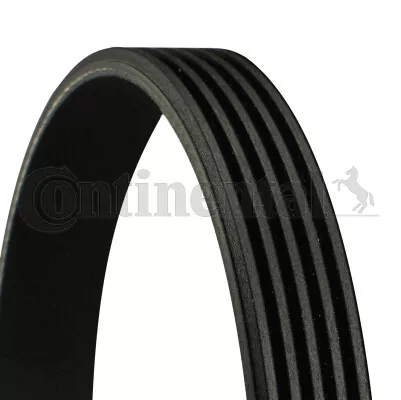 Cinturón acanalado en V continental 5PK491 para AUDI, SEAT, ŠKODA, VW - Imagen 1 de 1