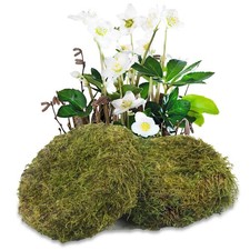 2 Pcs Round Floral Foam Blocks Green Moss Balls for Bowls Bulk Wet Dry Floral...