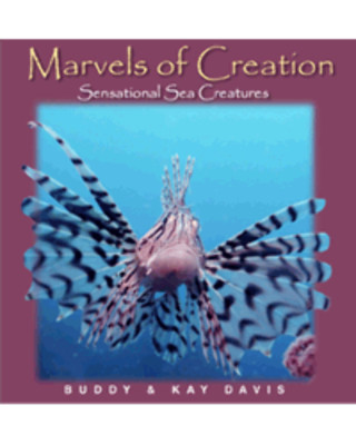 Marvels of Creation: Sensational Sea Creatures