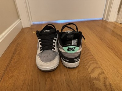 Nike SB Dunk Lows Camcorders Size 11
